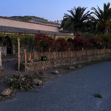 Les Lodges De La Plage U Dragulinu Sari-Solenzara Dış mekan fotoğraf