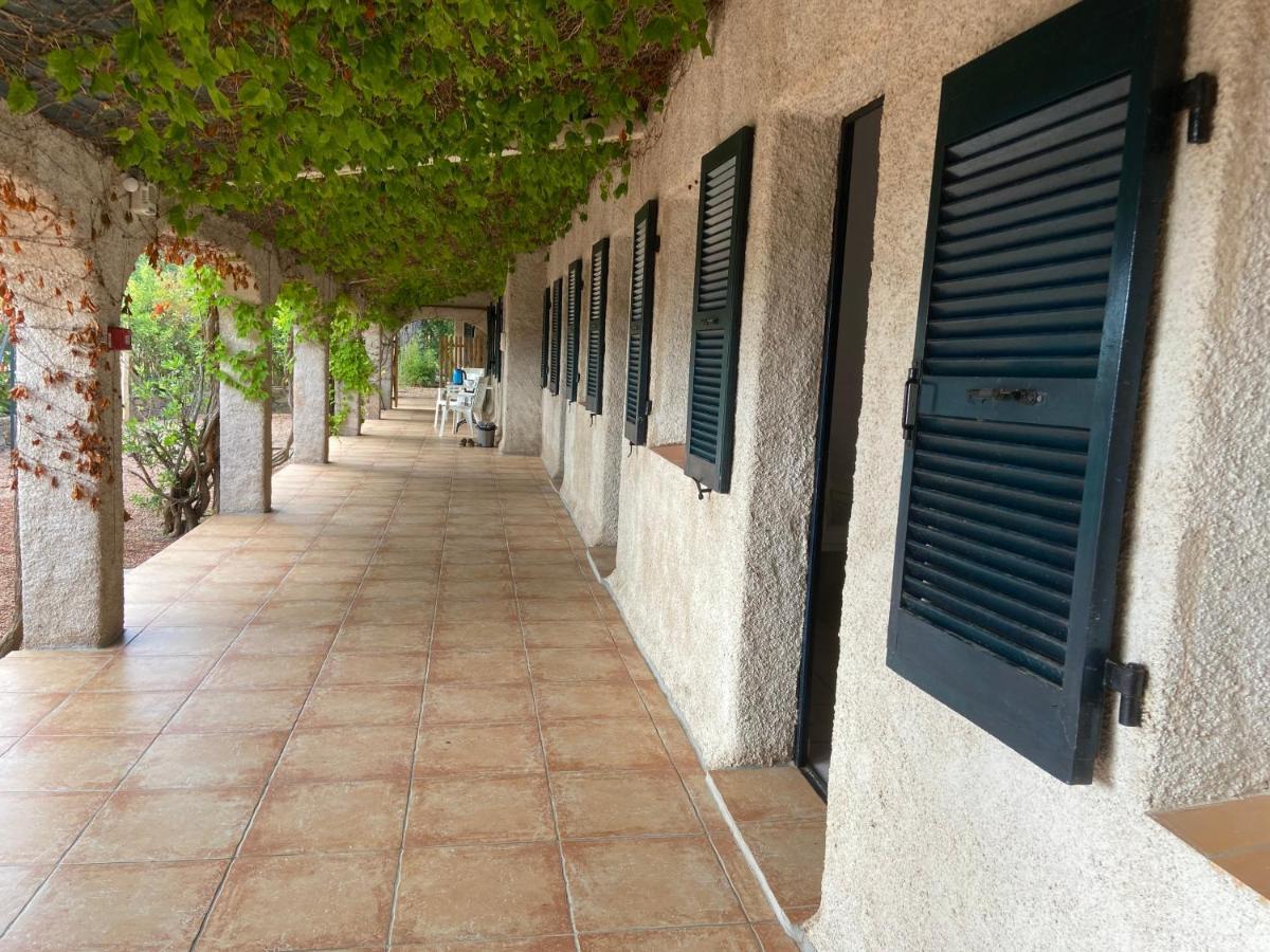 Les Lodges De La Plage U Dragulinu Sari-Solenzara Dış mekan fotoğraf